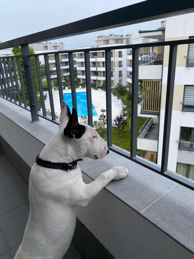 Celebryta - Apartament Apartment อุสตรอเนียมอร์สเกีย ภายนอก รูปภาพ